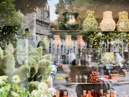 SchauFenster
